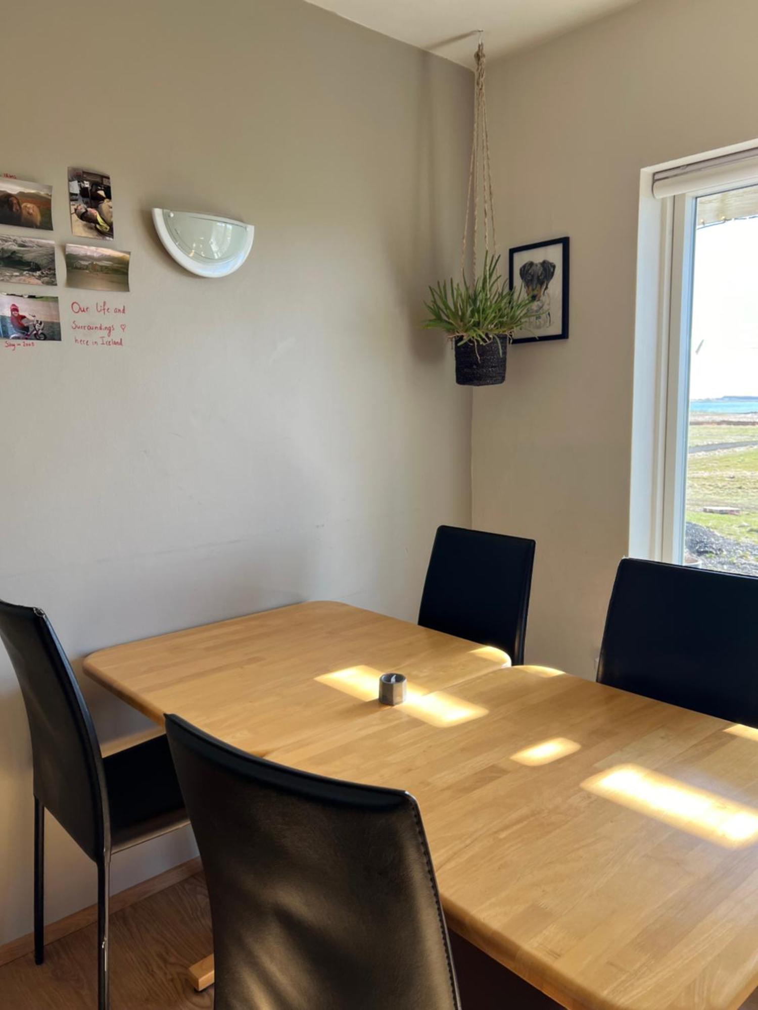 Sauthanes Guesthouse Höfn Εξωτερικό φωτογραφία